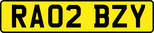 RA02BZY