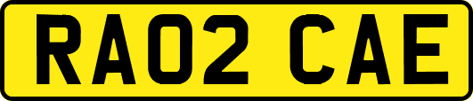 RA02CAE