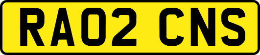 RA02CNS