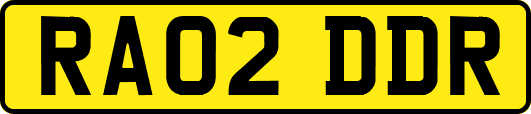 RA02DDR