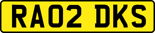 RA02DKS