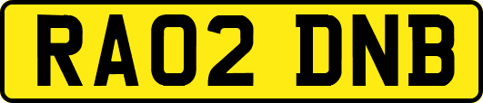 RA02DNB