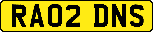 RA02DNS