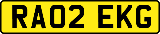 RA02EKG