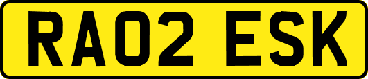 RA02ESK