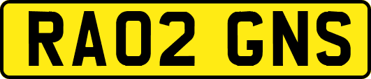 RA02GNS