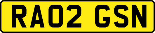 RA02GSN