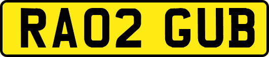 RA02GUB