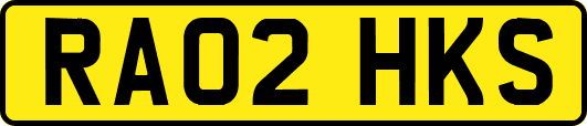 RA02HKS