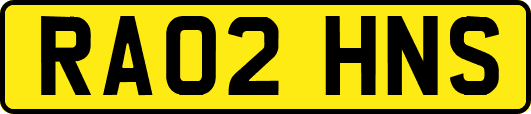 RA02HNS