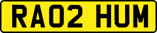 RA02HUM