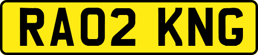 RA02KNG