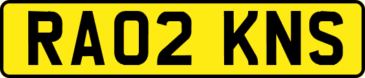 RA02KNS