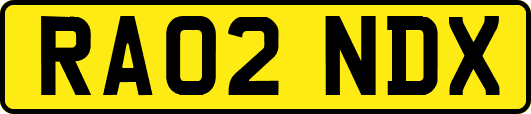RA02NDX
