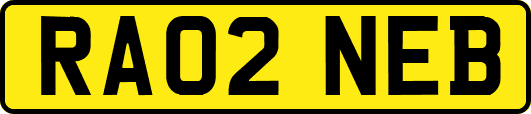 RA02NEB