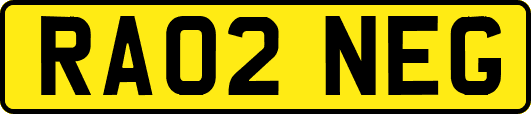 RA02NEG