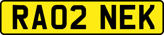 RA02NEK