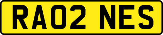 RA02NES