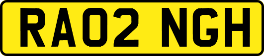 RA02NGH