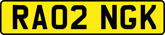 RA02NGK