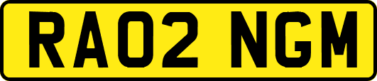 RA02NGM