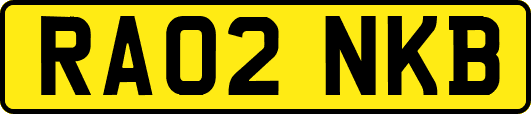 RA02NKB