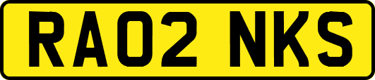 RA02NKS