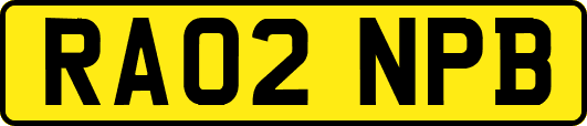 RA02NPB