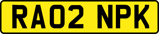 RA02NPK