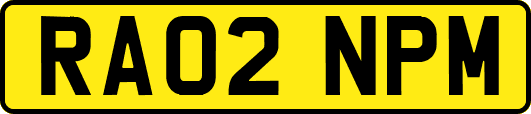 RA02NPM