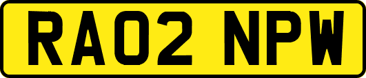 RA02NPW