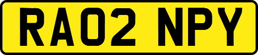 RA02NPY