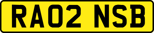 RA02NSB