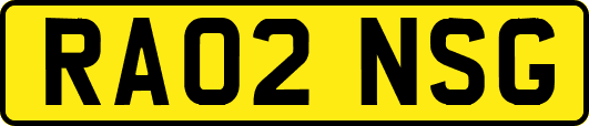 RA02NSG