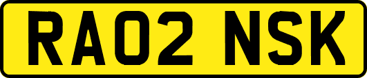 RA02NSK