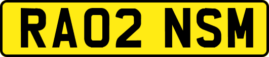 RA02NSM