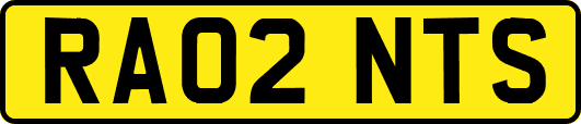 RA02NTS