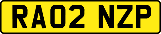 RA02NZP