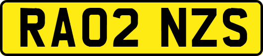 RA02NZS