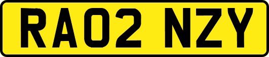 RA02NZY