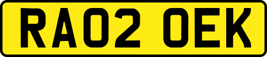 RA02OEK