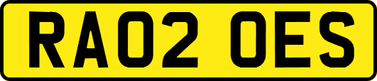 RA02OES