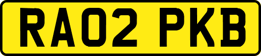 RA02PKB