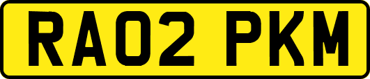 RA02PKM