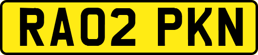 RA02PKN