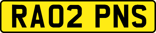 RA02PNS
