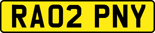 RA02PNY