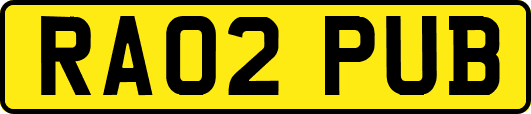 RA02PUB