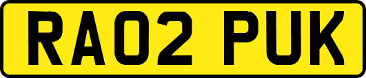 RA02PUK