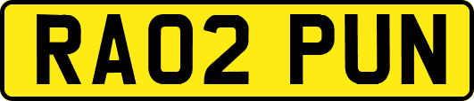 RA02PUN